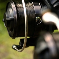 Daiwa Emblem BR25A